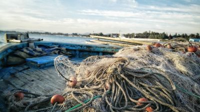 Acord global pentru subvenționarea pescuitului devine eficient, după o lungă perioadă de negocieri intenseea noastră”