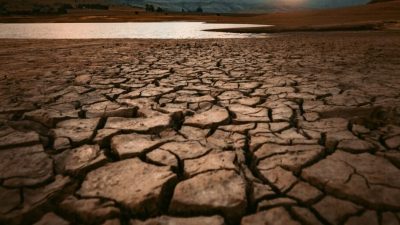 Vara extremă din 2025 a cauza undă de pierderi de 43 de miliarde de euro în economia europeană, conform unui raport de specialitateea noastră”