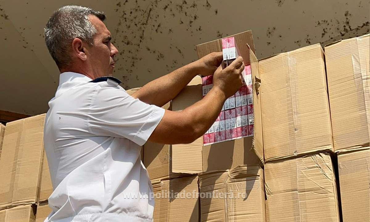 Peste 150 de tone de țigarete de contrabandă au fost confiscate dintr-o fabrică ilegală din Italiaea noastră”
