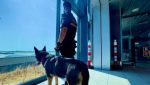 Videoclip: Procesul de colectare a datelor biometrice pentru cetățenii non-UE și moldoveni care intră în România și spațiul Schengen – fotografiere, amprentare și scanare a documentelor de călătorie / Sistemul european se aplică exclusiv turiștilor fără cetățenie românăea noastră”