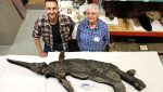 Noua specie de reptilă marină preistorică, numită „Dragonul-sabie”, descoperită de cercetătorii de la Universitatea din Manchester; are dimensiunea unui delfinea noastră”