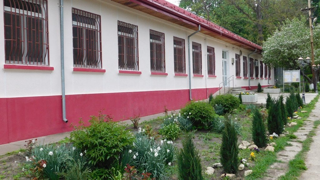 Raport al Uniunii Europene acuză tortură într-un spital din Iași; conducerea clinicii susține că este vorba de incidente vechi, în timp ce documentul pentru 2024 menționează victime ale violenței fizice, agresiuni și condiții de supraaglomerareea noastră”