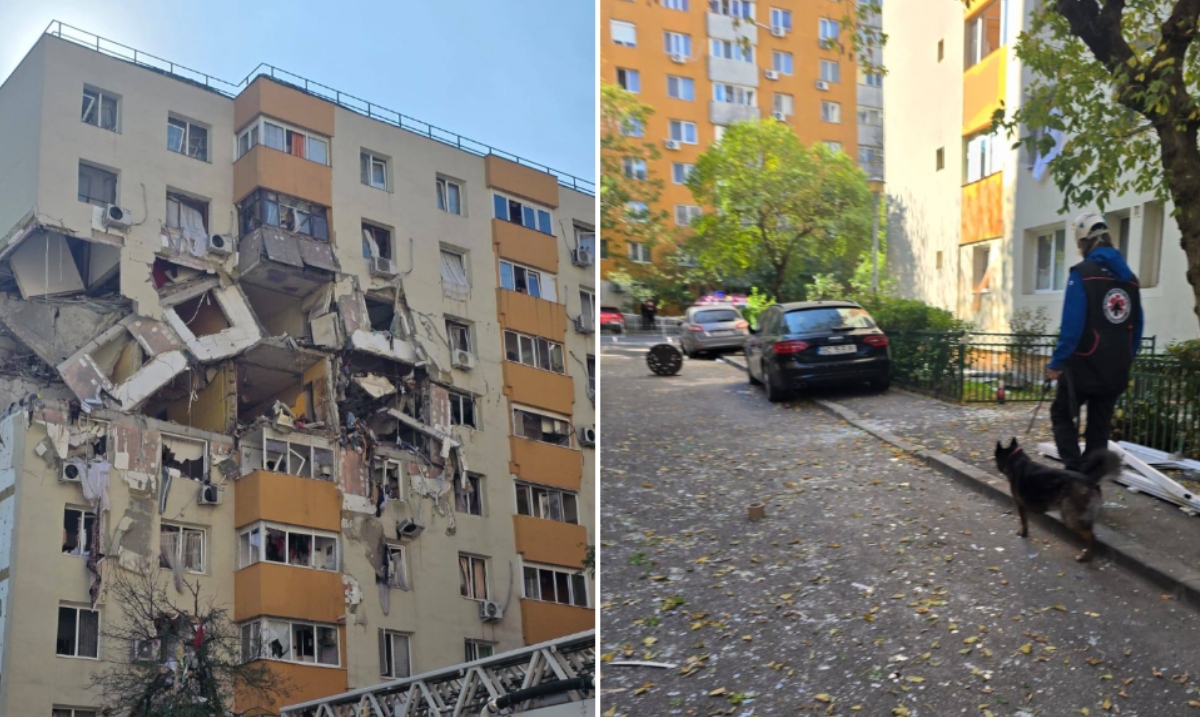 Cealapa, câinele veteran care a participat la căutările după seismul din Albania, a venit să sprijine victimele exploziei din Rahova