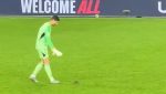 Momentul zilei: Un șobolan a oprit partida de fotbal dintre Țara Galilor și Belgiaea noastră”