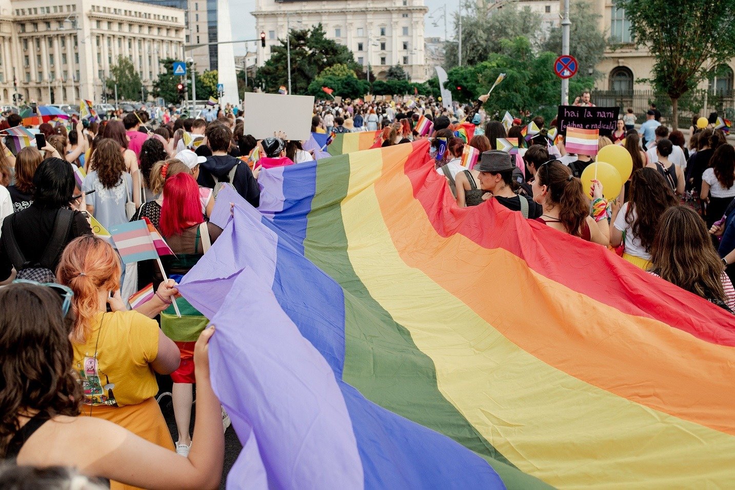 Asociația ACCEPT solicită României să elaboreze o strategie pentru promovarea egalității LGBTIQ+ / La doi ani de la hotărârea CEDO privind recunoașterea parteneriatelor între persoane de același sex, țara nu a venit cu un plan specificea noastră”