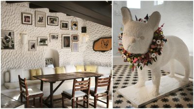 Video: El Bulli – restaurantul cu tematică canină și povestea inspirată a talentului culinar al lui Ferran Adrià, pionier în gastronomia molecularăea noastră”
