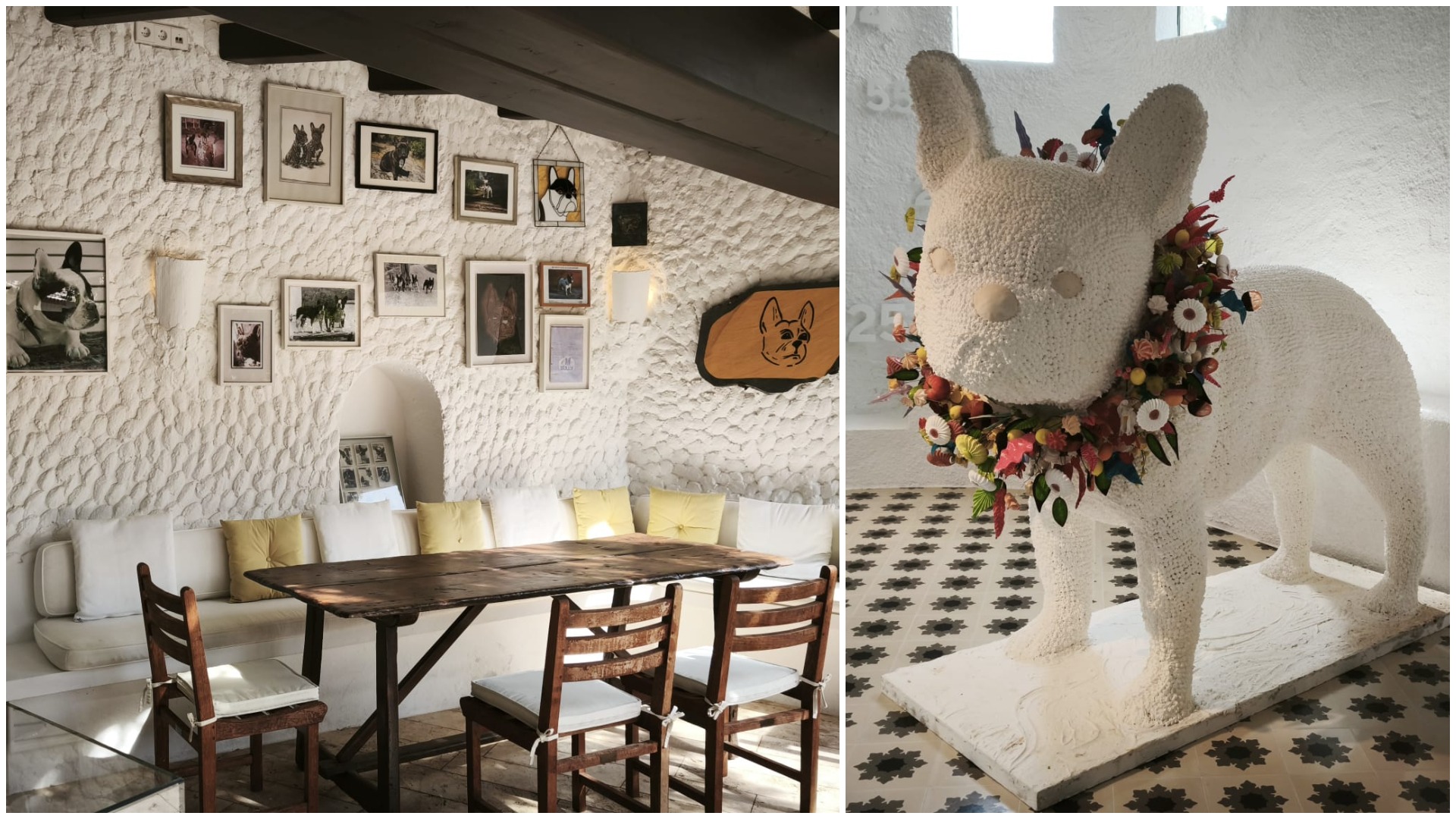 Video: El Bulli – restaurantul cu tematică canină și povestea inspirată a talentului culinar al lui Ferran Adrià, pionier în gastronomia molecularăea noastră”