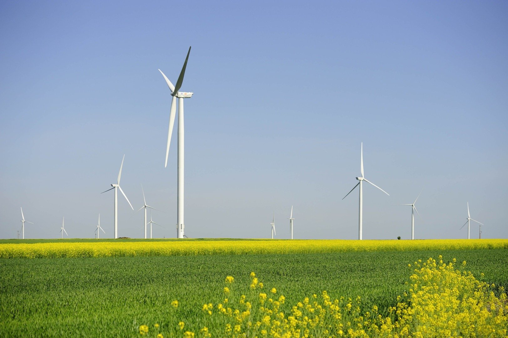 Sursele de energie verde au devenit pentru prima dată principala sursă globală de electricitate, depășind pentru prima dată cărbuneleea noastră”