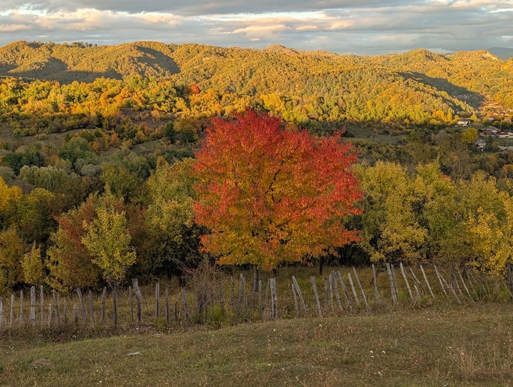 Temperaturile vor crește gradual în această săptămână, cu cele mai ridicate valori în Banat. Previziuni meteo pentru fiecare regiune pentru următoarele două săptămâniea noastră”