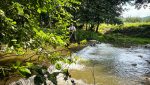Activistul de mediu Alex Găvan avertizează asupra poluării extreme a râului Vâlsan, habitatul rar al peștelui de apă dulce Vâlsanul, considerat o problemă urgentă pentru sănătatea publicăea noastră”