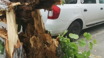 Vânt intens și temperaturi de maximum 9°C în București, avertizare cod portocaliuea noastră”