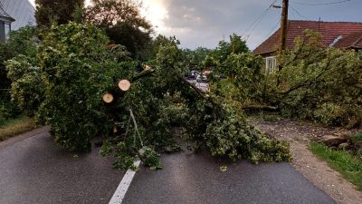 Intervenții ale pompierilor din București din cauza condițiilor meteo: copaci și elemente de construcție instabile, crengi pe drumurile circulabileea noastră”