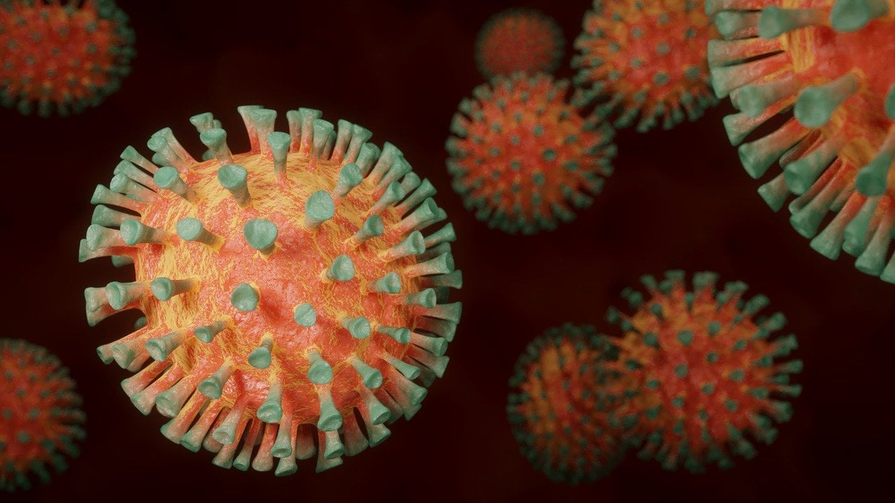 Cercetare medicală arată că puii de șoarece infectați cu virusul responsabil pentru COVID-19 prezintă niveluri crescute de anxietateea noastră”