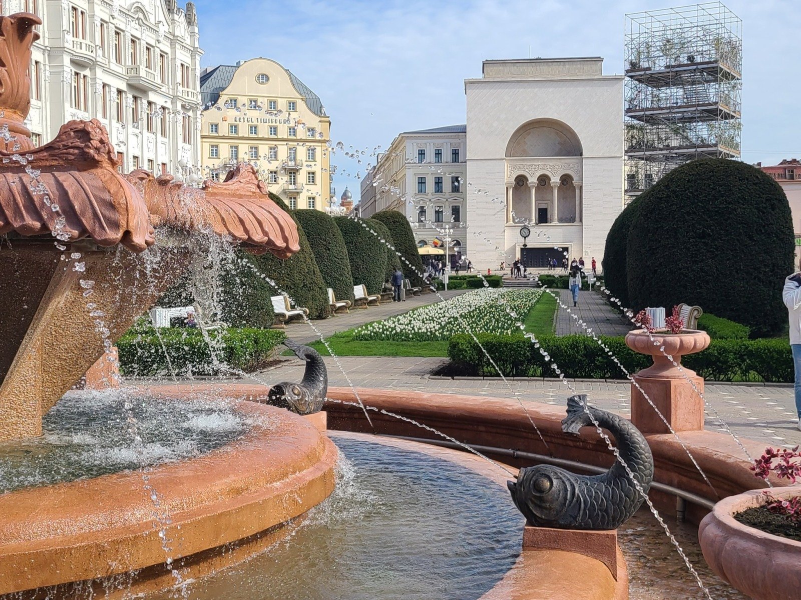 Timișoara înlocuiește gazonul urban cu plante adaptate secetei pentru a reduce consumul de apăea noastră”