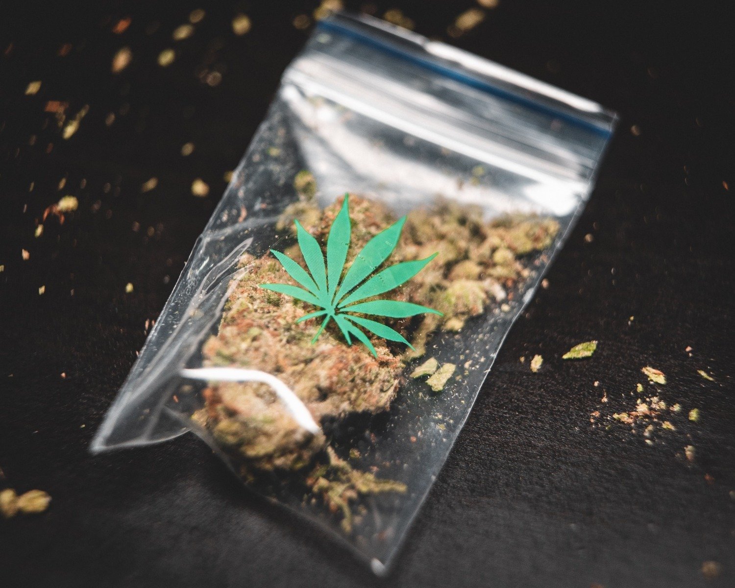 Antreprenorul din Detroit, fondatorul companiei Leaf and Bud specializată în produse de canabis, desemnat de Donald Trump ca reprezentant diplomatic în Irakea noastră”