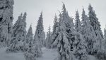 Zăpadă de aproape 50 de centimetri la Vârful Omu, cel mai ridicat strat înregistrat în zona montană, și 15 centimetri la Bâlea Lacea noastră”