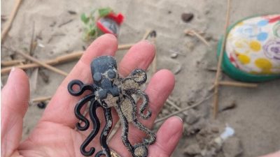 Impulsionarea găsirii pieselor Lego pierdute în ocean: de la pasiune la campanie de sensibilizare asupra poluării cu plasticea noastră”
