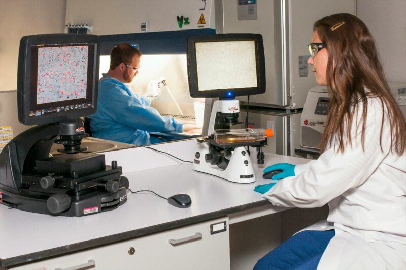Ministerul Sănătății va instrui 800 de medici români în centre universitare din țară pentru specializarea în tratamentul cancerelor musculo-scheletale, cu un buget de aproape 20 de milioane de leiea noastră”