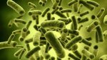 Un laureat al Premiului Nobel pentru Medicină din 2025 nu a fost de găsit în timpul unei excursii în naturăea noastră”