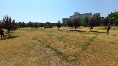 Reacție a Primăriei Capitalei privind controversele legate de Parcul Izvor și respingerea zvonurilor despre proiectul organizației “Alianța pentru pădure”ea noastră”