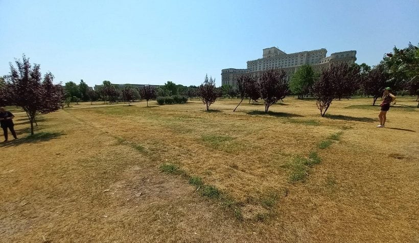 Reacție a Primăriei Capitalei privind controversele legate de Parcul Izvor și respingerea zvonurilor despre proiectul organizației “Alianța pentru pădure”ea noastră”