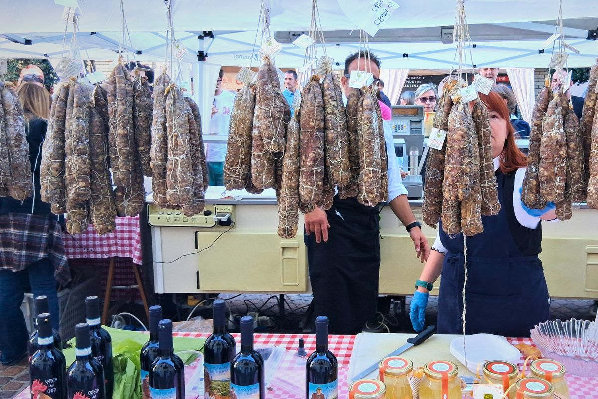 Imagini și înregistrări despre carnea de gâscă, o resursă economică și simbol al unei comunități agricole din apropierea Milano-ului, sărbătorită de peste cincizeci de aniea noastră”