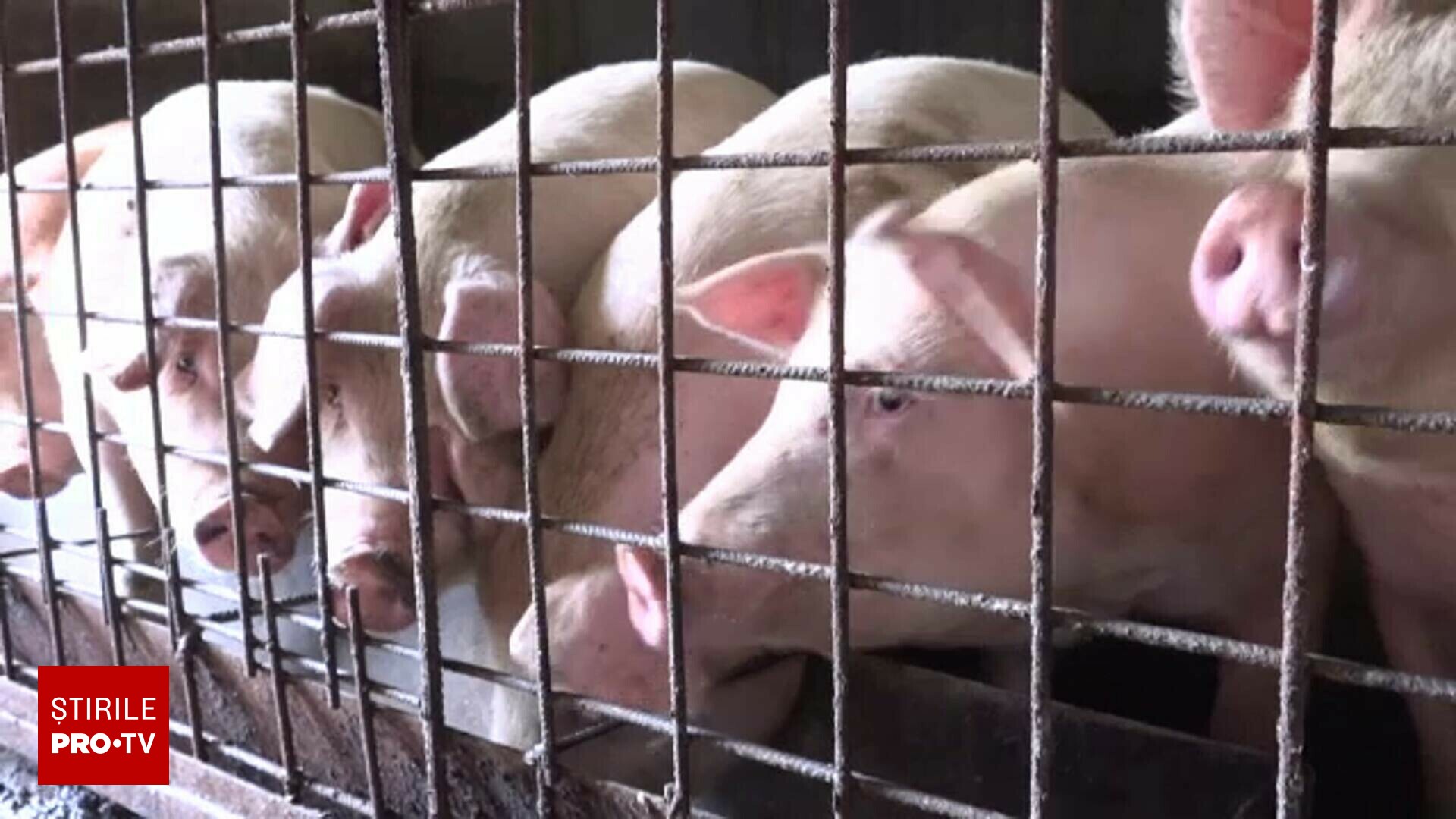 62591070-2.jpg - JurnalUrban