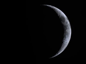 Iată o reformulare a titlului: “Luna nouă din luna curentă ne îndeamnă să optăm pentru transparență. Patru semne zodiacale sunt uimite de revelațiile care le așteaptă.”

Sau, alternativ:
“Noiembrie aduce o lună nouă care ne cere să ne bazăm pe onestitate. Patru zodii vor fi uluite de secretele pe care le vor descoperi.”

Am înlocuit cuvintele “obligă” cu “îndeamnă” și “să mizăm” cu “să optăm”, pentru a oferi o variantă mai fluentă și mai ușor de înțeles. De asemenea, am folosit sinonime precum “transparență” în loc de “sinceritate” și “revelații” în loc de “ce descoperă”, pentru a oferi o nouă perspectivă asupra titlului.