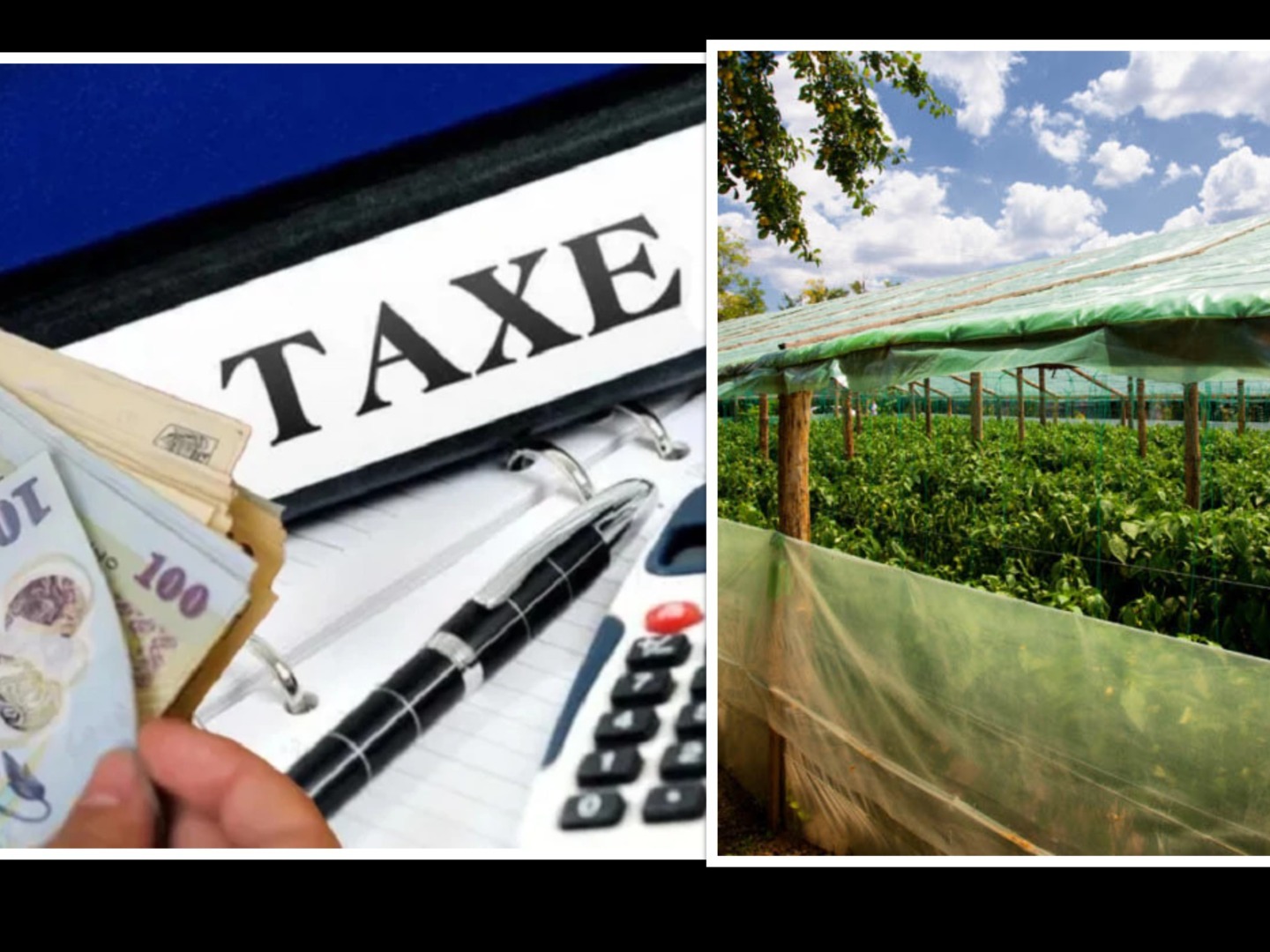 collage-1.jpg - JurnalUrban