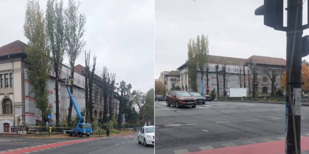 Autorizații necorespunzătoare pentru tăieri de copaci și nerespectarea normelor legale la Facultatea de Biologie din București, după confirmarea abaterilor de către Direcția de Mediu a PMB, care a sesizat Poliția Locală, cu imagini ale arborilor mutilați distribuite pe rețele sociale