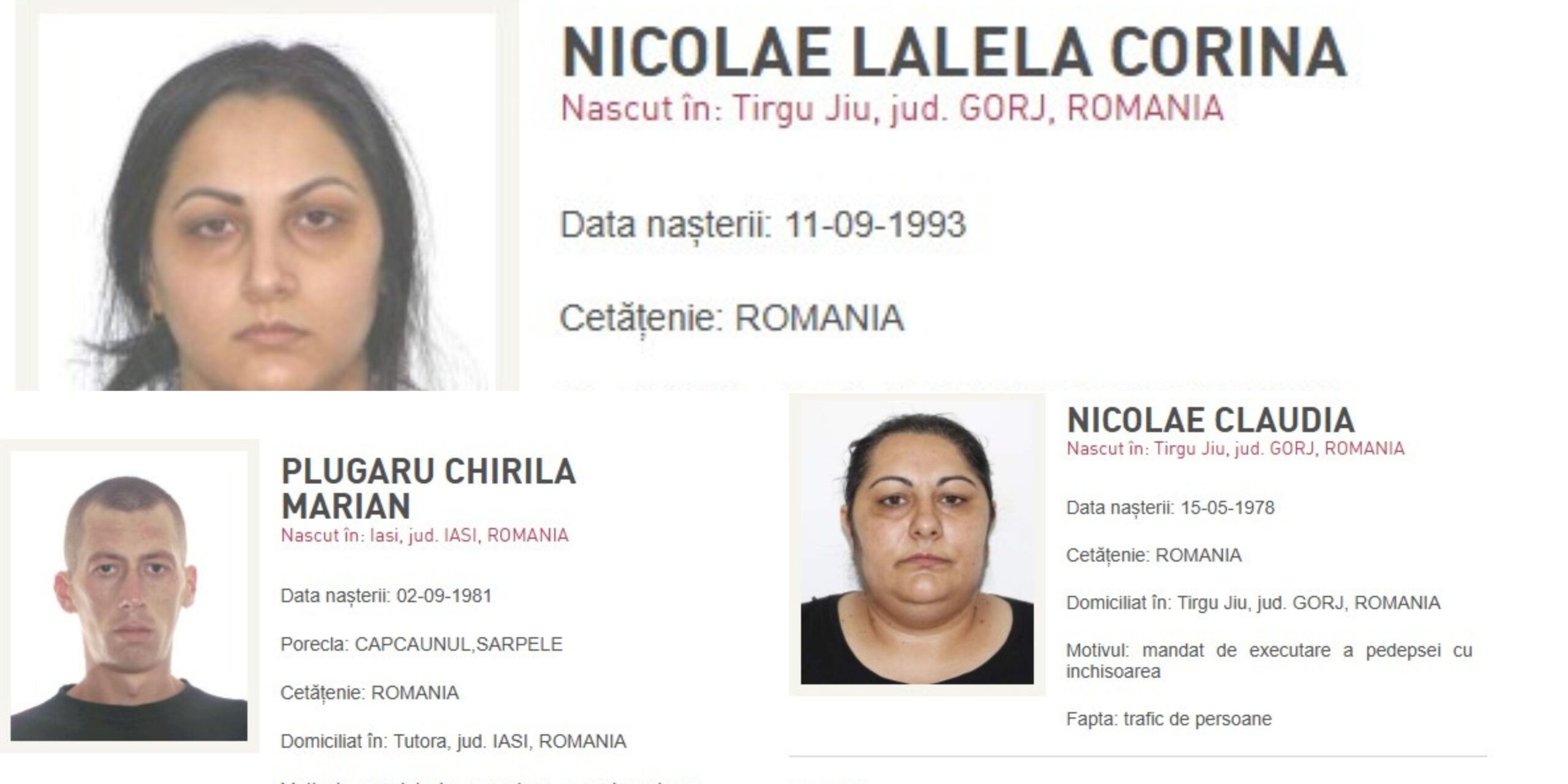 Poliția Română a reținut șapte persoane urmărite internațional, printre care și un individ înscris în categoria „most wanted” Complexitatea eforturilor de combatere a criminalității transnaționale nu încetează, iar ultimele acțiuni ale Poliției Române demonstrează faptul că autoritățile sunt extrem de active în urmărirea și extrădarea persoanelor implicate în activități ilegale