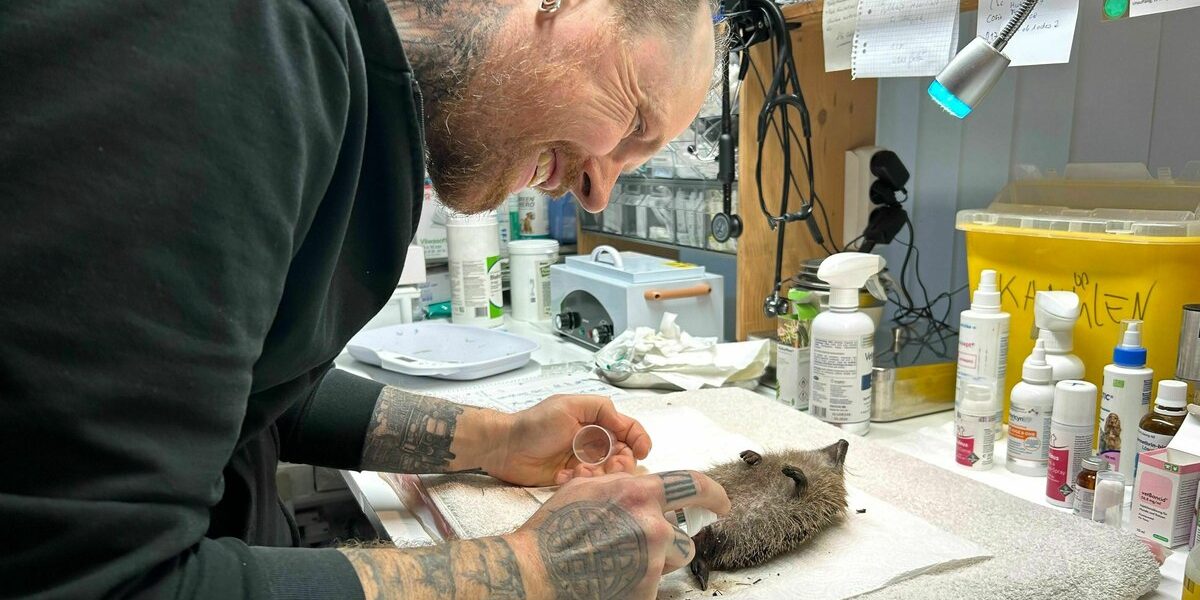 Wildtiere an Silvester: Wohin mit Franz?