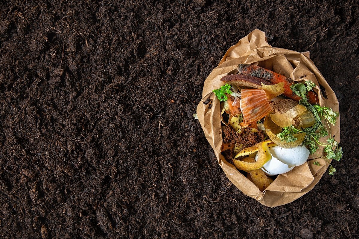 Primăria București a semnat un acord cu Academia de Compost pentru extinderea inițiativelor comunitare de recoltare a biodeșeurilor