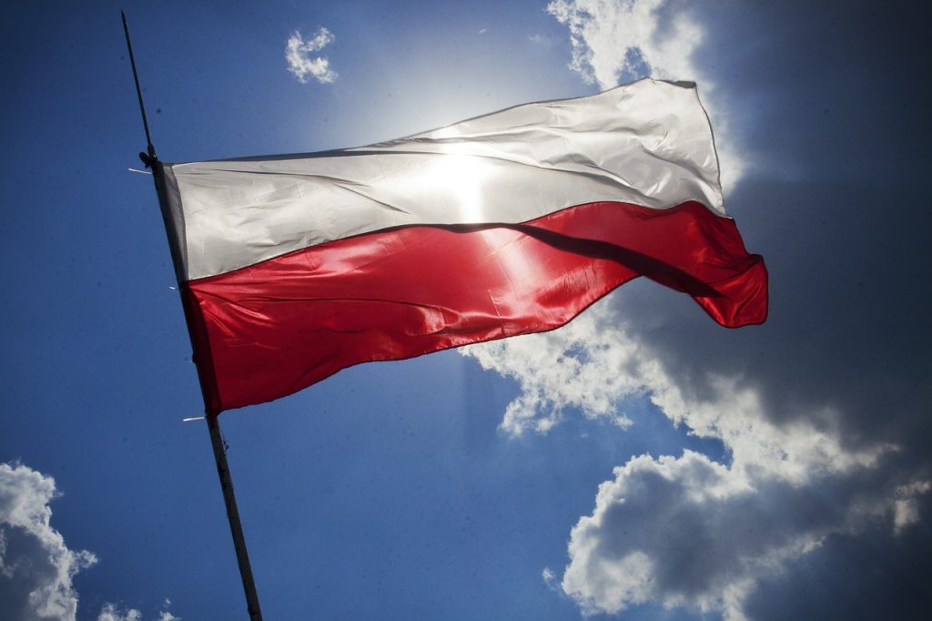 [ad_1] Serviciile de securitate din Polonia au arestat un student suspectat că planifica un atac în familie la un târg de Crăciun, a declarat marți Jacek Dobrzynski, un purtător de cuvânt al agențiilor speciale din țară