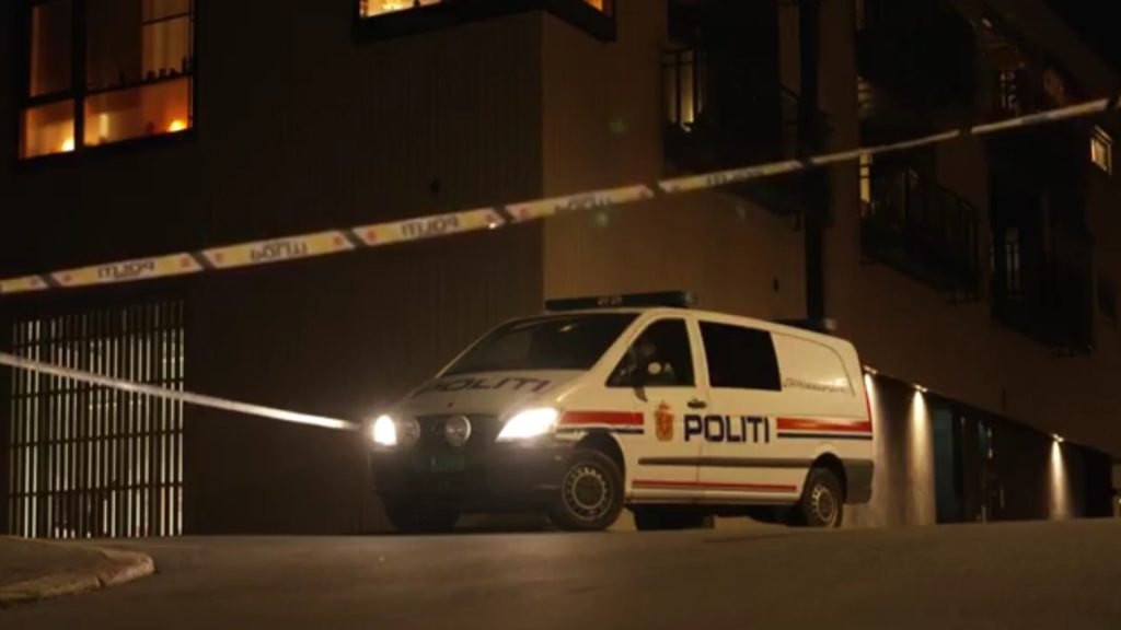 [ad_1] Un tânăr de 19 ani a fost arestat după ce s-au tras focuri de armă într-un centru comercial din centrul capitalei norvegiene, Oslo