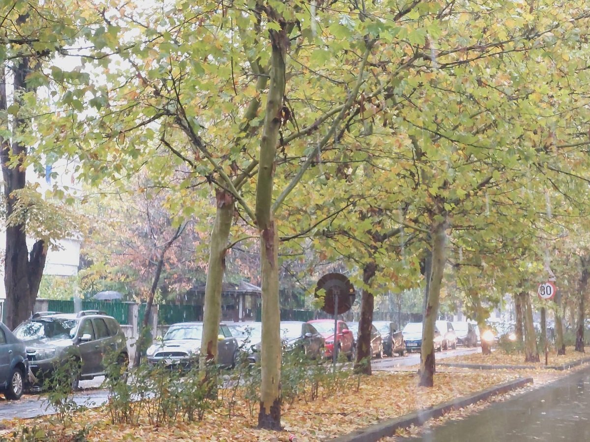[ad_1] Temperaturile vor fi mai ridicate decât valorile normale pentru această perioadă în primele zile ale săptămânii, însă în Ajunul Crăciunului se va simți o răcire generală