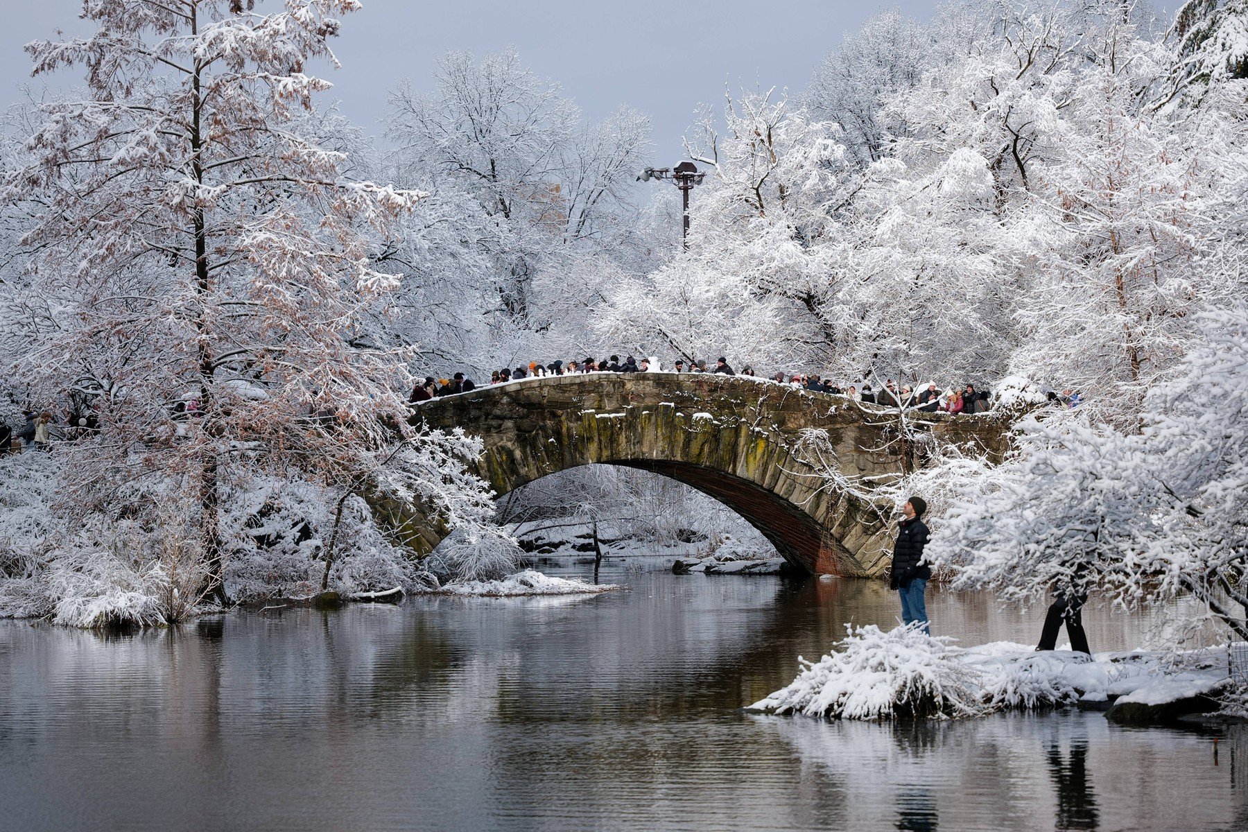 [ad_1] New York a acoperit prima dată în acest sezon cu un strat de zăpadă albă
