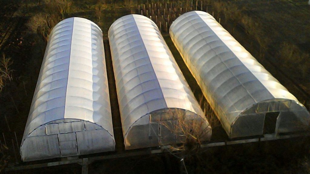 Ministrul Agriculturii asigură că serele și solariile fermierilor și gospodăriilor din România nu vor fi supuse impozitării