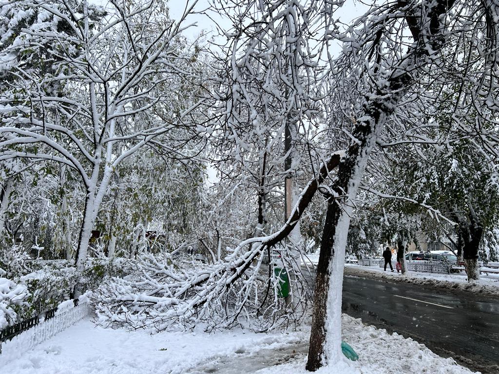 Alerta de Cod Galben pentru intensificări ale vântului în majoritatea regiunilor Moldovei, în vestul Olteniei și pe litoral, și ninsori viscolite în zonele montane