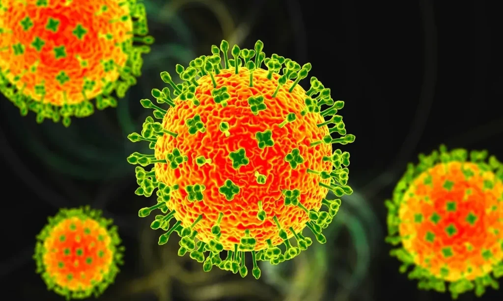 Virusul Nipah: Alerta de sănătate publică în India India se confruntă cu o situație alarmantă, după ce în perioada 27 decembrie 2025 – 26 ianuarie 2026 au fost raportate cinci cazuri suspecte de infecție cu virusul Nipah, inclusiv două cazuri confirmate, la un spital din Bengalul de Vest