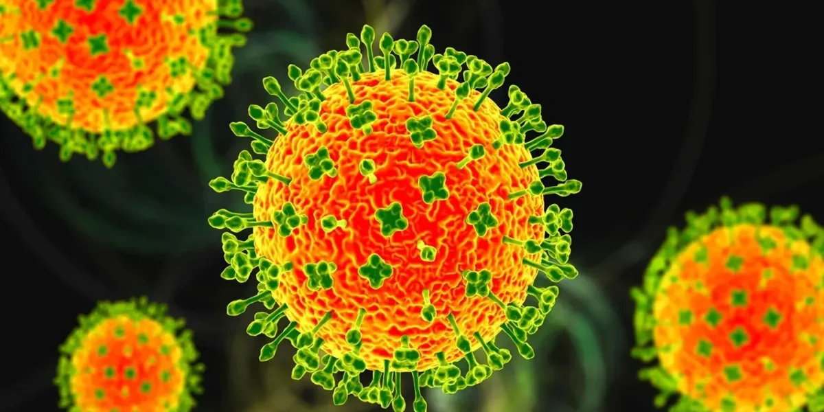 1769500960760_virus-nipah1-1769474634.webp.webp - JurnalUrban