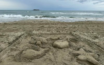 3f7a39ab-eca7-4a86-9451-7a2ae1eaf3ba-1.jpeg - JurnalUrban