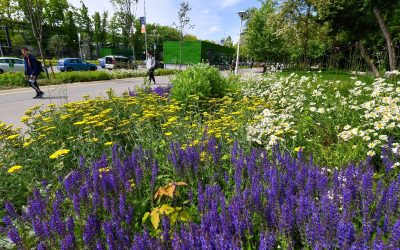 486150583_1065582412266362_6818751320928648194_n.jpg - JurnalUrban