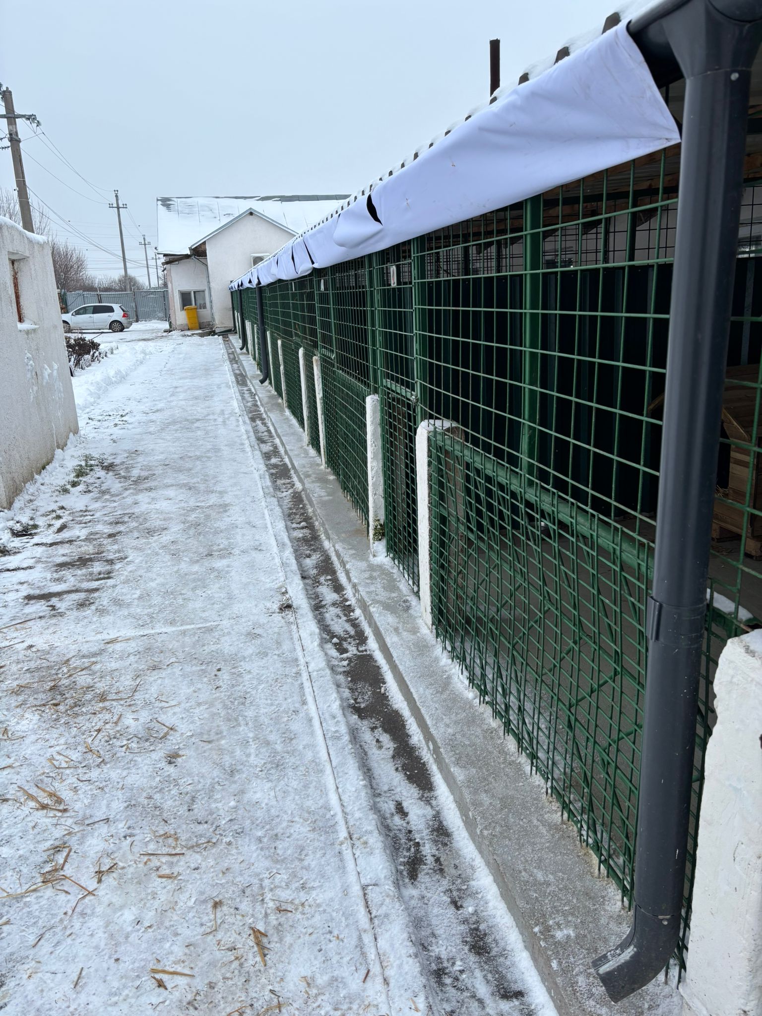 ASPA se confruntă cu dificultăți din cauza gerului extrem: eforturi susținute pentru salvarea animalelor din adăposturi Autoritatea pentru Supravegherea și Protecția Animalelor (ASPA) se află în fața unor provocări semnificative din cauza temperaturilor foarte scăzute și a condițiilor meteorologice severe din ultimele zile
