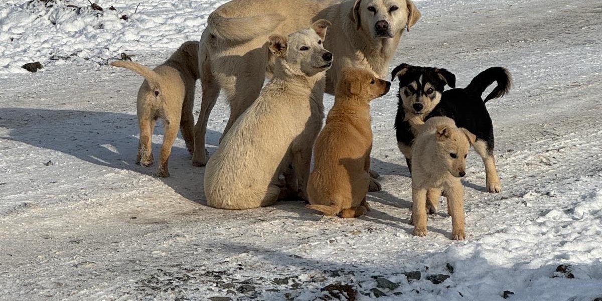 617010765_902975602099066_5841180053117019397_n.jpg - JurnalUrban