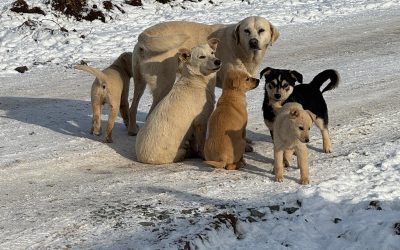 617010765_902975602099066_5841180053117019397_n.jpg - JurnalUrban