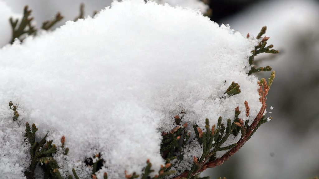 Ninsori însemnate, strat de până la 2,5 cm de zăpadă așteptat!