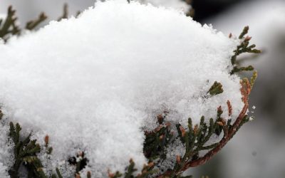 88202005007-snow-jl-4.JPG - JurnalUrban