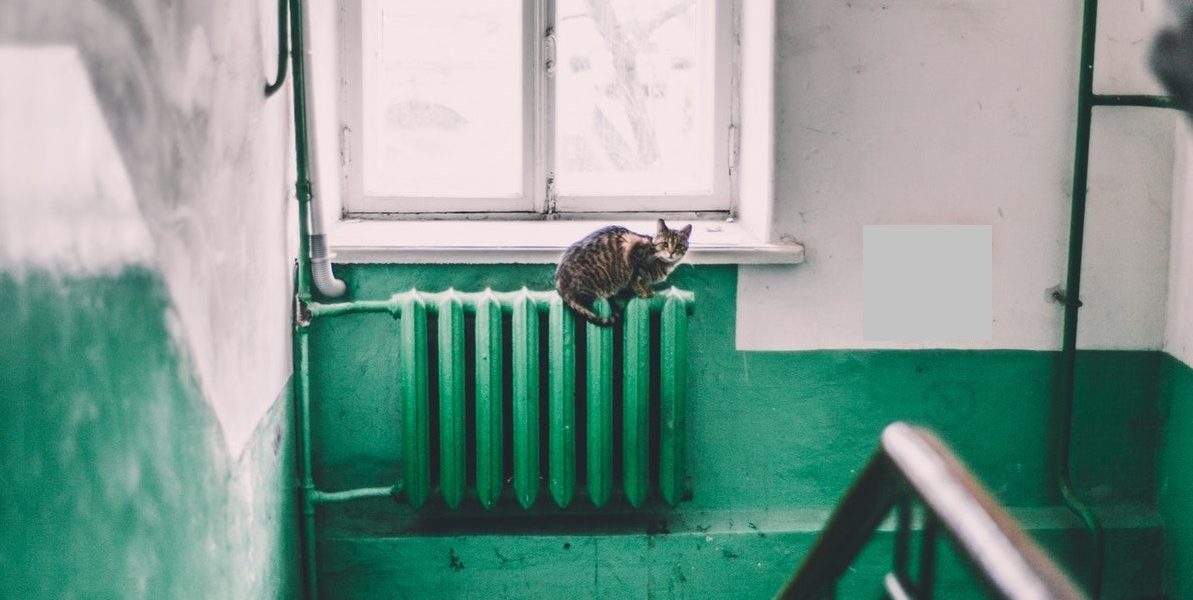 Calorifer-pexels-maria-orlova-4946714.jpg - JurnalUrban