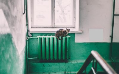 Calorifer-pexels-maria-orlova-4946714.jpg - JurnalUrban